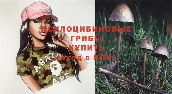 бошки Абаза