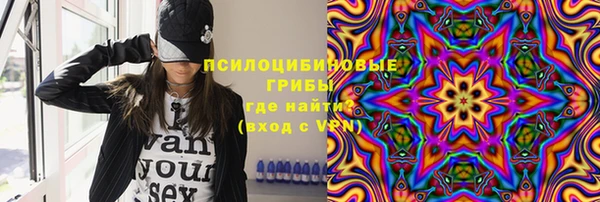 шишки Абинск