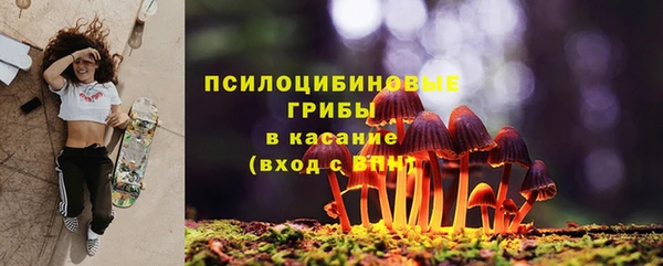 бошки Абаза